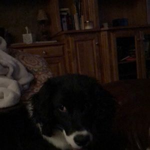 Meet your Posher, Bobbi